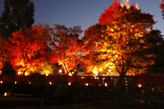 河口湖の紅葉まつりのライトアップ１